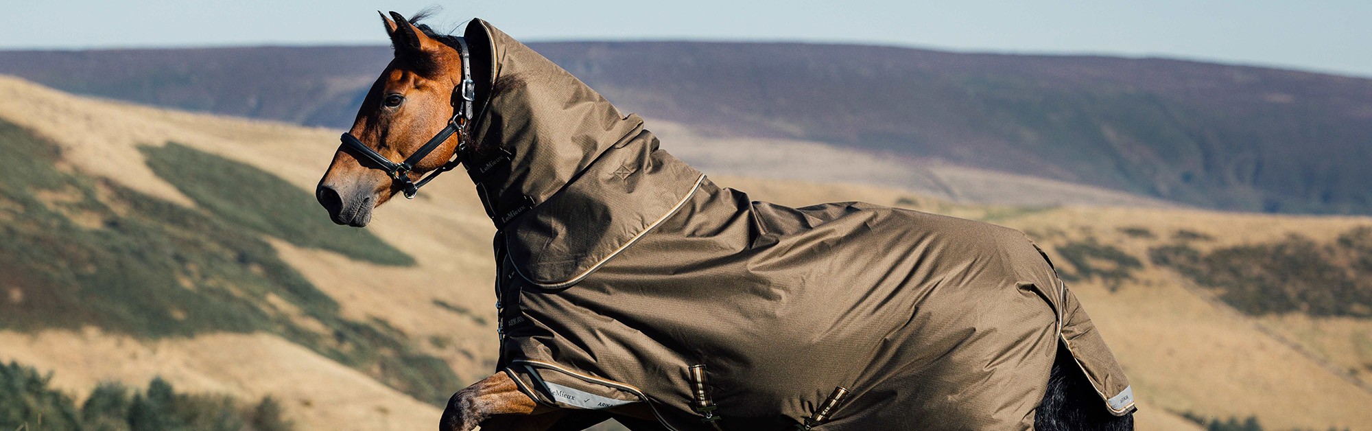 Finest Equestrian Supplies -Finest Equestrian Supplies 1