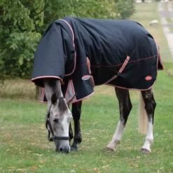 Weatherbeeta Comfitec Premier With Therapy-Tec Detach-A-Neck Medium Turnout Rug -Finest Equestrian Supplies 1001614006 wb cft prm thrpy dn med grazing image lifestyle1 1 2 jpg