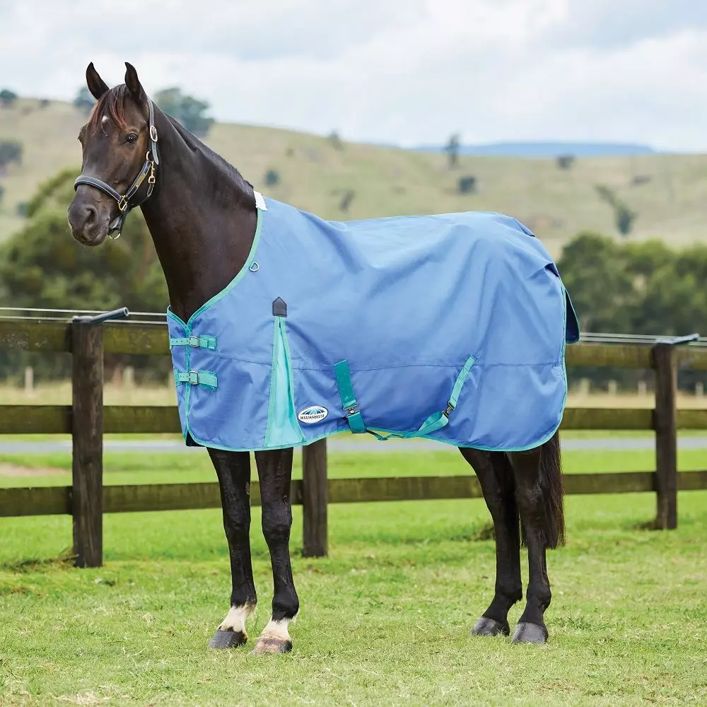 Weatherbeeta Comfitec Classic Standard Neck Medium / Lite 4 Weatherbeeta Comfitec Classic Standard Neck Medium / Lite - Image 2