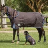 WeatherBeeta Comfitec Ultra Cozi II Detach-A-Neck Medium Turnout Rug
