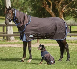 WeatherBeeta Comfitec Ultra Cozi II Detach-A-Neck Medium Turnout Rug