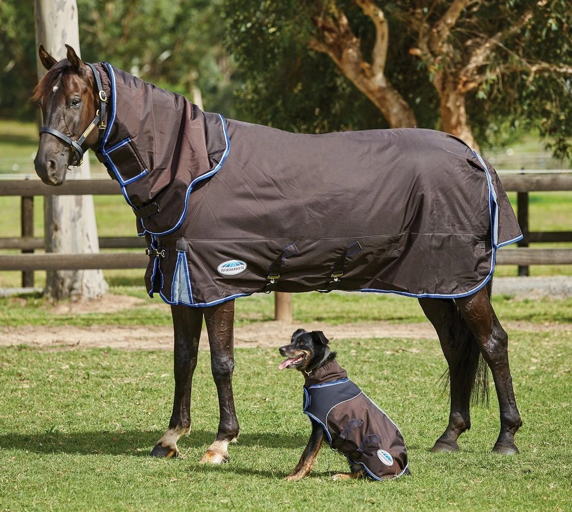 WeatherBeeta Comfitec Ultra Cozi II Detach-A-Neck Medium Turnout Rug 4 WeatherBeeta Comfitec Ultra Cozi II Detach-A-Neck Medium Turnout Rug - Image 2