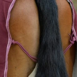 Weatherbeeta Sherpa Fleece Cooler Standard Neck -Finest Equestrian Supplies 1003910006 wb sherpa fleece cooler stn detail image lifestyle5 5