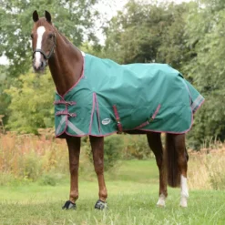 WeatherBeeta ComFiTec Plus Dynamic II Standard Neck Lite -Finest Equestrian Supplies 1006913000 greengreyred wb cft pdynmc std image hero null 14 jpg