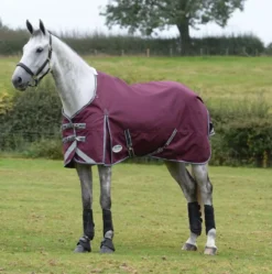 WeatherBeeta ComFiTec Plus Dynamic II Standard Neck Lite -Finest Equestrian Supplies 1006913010 wb cft pdynmc ii std image hero null 1 13 jpg