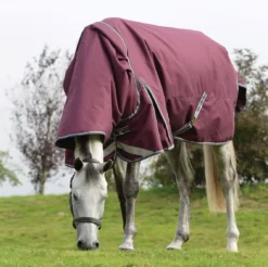 WeatherBeeta ComFiTec Plus Dynamic II Detach-A-Neck Medium/Lite - Maroon Grey White -Finest Equestrian Supplies 1006918010 wb cft pdynmc ii dan grazing image lifestyle2 1 15 jpg