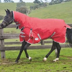 Weatherbeeta Comfitec Classic Combo Neck Medium/Lite -Finest Equestrian Supplies 1009401010 6