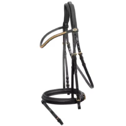Schockemohle Classic Line Colombo Flash Bridle -Finest Equestrian Supplies 1100 00069 colombo blackgoldywonz0vsr4sh3 1 1 jpg