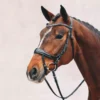 Schockemohle Equitus Beta Anatomic Flash Bridle With Crystal Browband -Finest Equestrian Supplies 1101 00045 equitus beta patentcp3lmxeyu82xf 2 jpg