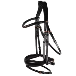 Schockemohle Anatomic Stanford Flash Bridle -Finest Equestrian Supplies 1101 00053 standfords black burgundy roseijqsi77qqnz1t 1 jpg