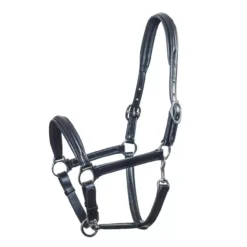 Schockemohle Ulm Leather Headcollar -Finest Equestrian Supplies 1310 00011 ulm black silverzyc3kekmwflkh 1 1 jpg