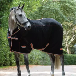 Weatherbeeta Therapy-Tec Standard Neck Rug 31 Weatherbeeta Therapy-Tec Standard Neck Rug -Finest Equestrian Supplies 1ddc46a998ad2e377d824499c019d9c6 2 8 jpg