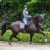 LeMieux Loire Classic Dressage Square