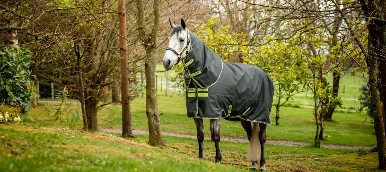 Finest Equestrian Supplies -Finest Equestrian Supplies 2