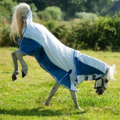 Gallop Air-Mesh Summer Sheet Combo -Finest Equestrian Supplies 2032 4 1 4 jpg