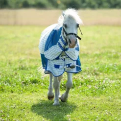 Gallop Air-Mesh Summer Sheet Combo -Finest Equestrian Supplies 2032 7 10 jpg