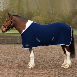 Gallop Jersey Cooler Rug -Finest Equestrian Supplies 2050 13 6 4 jpg