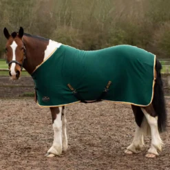 Gallop Jersey Cooler Rug -Finest Equestrian Supplies 2050 1 3 6 jpg