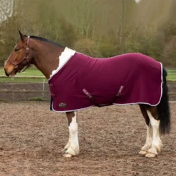 Gallop Jersey Cooler Rug -Finest Equestrian Supplies 2050 5 1 2 1 6 jpg