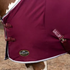 Gallop Jersey Cooler Rug -Finest Equestrian Supplies 2050 6 6 2 jpg