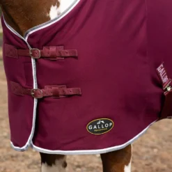 Gallop Jersey Cooler Rug -Finest Equestrian Supplies 2050 7 6 3 jpg