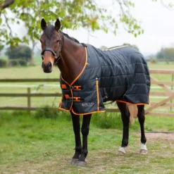 Gallop Trojan 100 Stable Rug 27 Gallop Trojan 100 Stable Rug -Finest Equestrian Supplies 2100 2 1 7 jpg