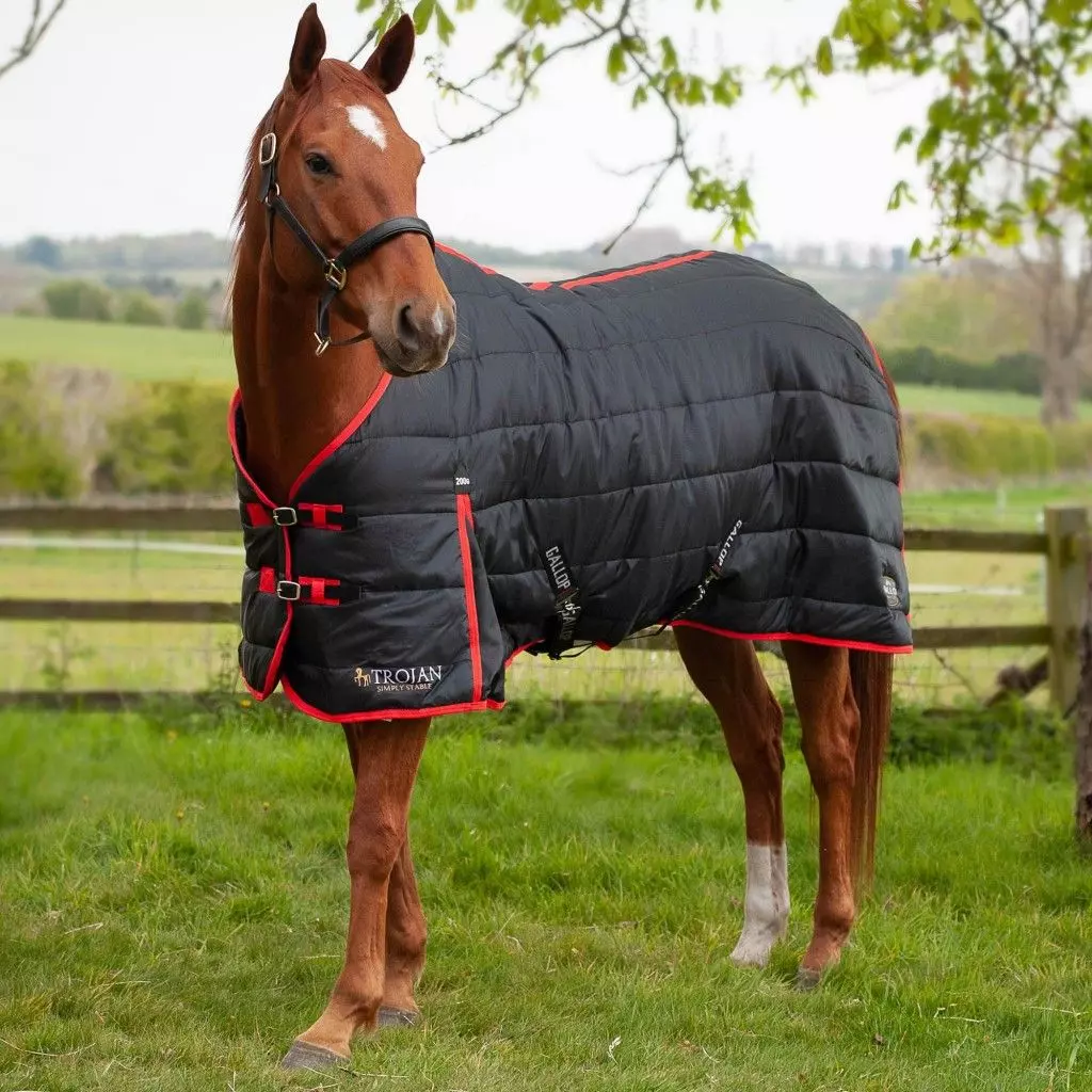 Gallop Trojan 200 Stable Rug 7 Gallop Trojan 200 Stable Rug - Image 5