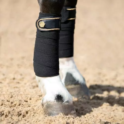 Coldstream Marygold Bandages 8 Coldstream Marygold Bandages - Image 6