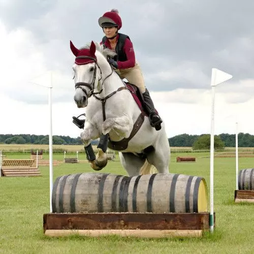 Hy Sport Active Fly Veil 14 Hy Sport Active Fly Veil - Image 12