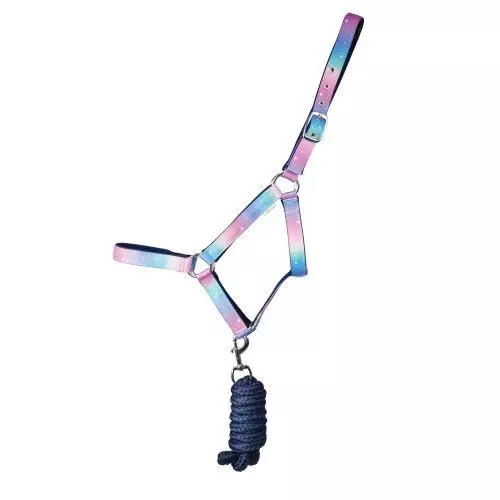 Dazzling Night Head Collar And Lead Rope Set By Little Rider 14 Dazzling Night Head Collar And Lead Rope Set By Little Rider - Image 12