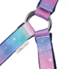 Dazzling Night Head Collar And Lead Rope Set By Little Rider -Finest Equestrian Supplies 36463 dazzling night head collar by little rider 02 1 1 jpg