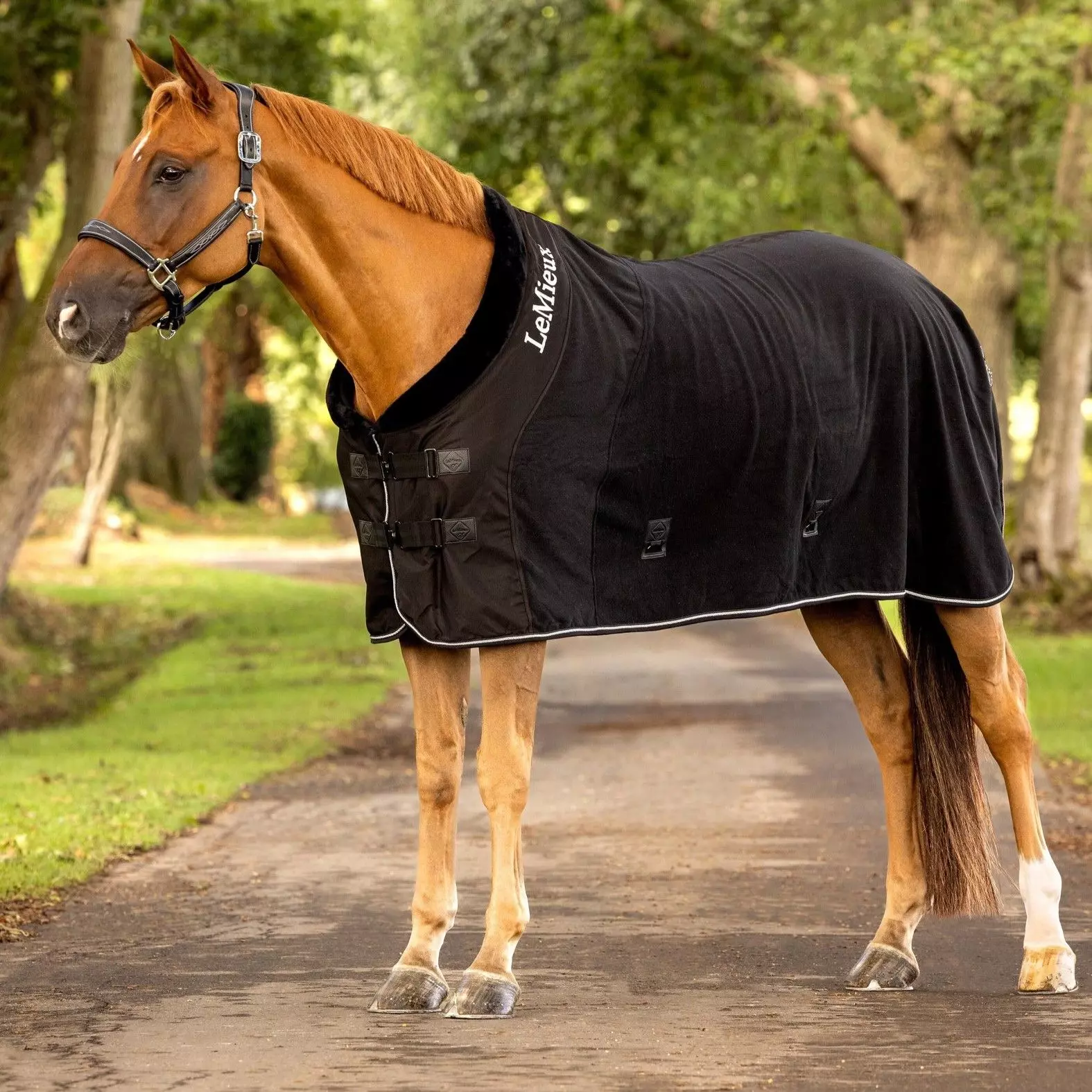 LeMieux Fleece Rug 3 LeMieux Fleece Rug