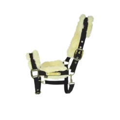 Kentucky Horsewear Kentucky Nylon Sheepskin Halter -Finest Equestrian Supplies 42504 02 a929523bbdd099ba1a676b6771a9e673 article photobook m png