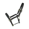 Kentucky Horsewear Kentucky Pearls Halter 2 Kentucky Horsewear Kentucky Pearls Halter -Finest Equestrian Supplies 42557 01 01 564c22e810080218547dfa1c1093aa08 article photobook l 2 jpg