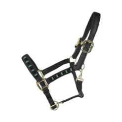 Kentucky Horsewear Kentucky Pearls Halter 41 Kentucky Horsewear Kentucky Pearls Halter -Finest Equestrian Supplies 42557 01 01 564c22e810080218547dfa1c1093aa08 article photobook l 3 jpg