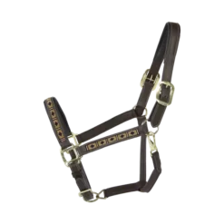 Kentucky Horsewear Kentucky Pearls Halter 32 Kentucky Horsewear Kentucky Pearls Halter -Finest Equestrian Supplies 42557 05 41 564c22e810080218547dfa1c1093aa08 article photobook l 1 png