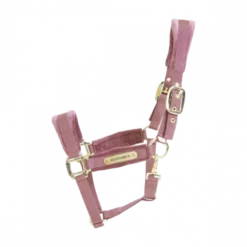 Kentucky Horsewear Kentucky Velvet Head Collar -Finest Equestrian Supplies 42558 10 f a929523bbdd099ba1a676b6771a9e673 article photobook m 1 png