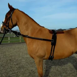 Rhinegold Training/ Breaking Set -Finest Equestrian Supplies 460a web 1 1 jpg