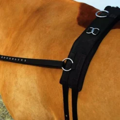 Rhinegold Training/ Breaking Set -Finest Equestrian Supplies 460c web 2 2 jpg