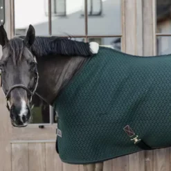 Kentucky Horsewear 4D Spacer Cooler Sheet - Pine Green -Finest Equestrian Supplies 485a3364 e8502ded370e565d04389cf2c54c4715 article photobook crop 7 png