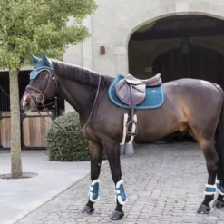 Kentucky Horsewear Kentucky Vegan Sheepskin Tendon Boots Bamboo Shield Elastic -Finest Equestrian Supplies 485a7205 lr e8502ded370e565d04389cf2c54c4715 article photobook crop 1 png