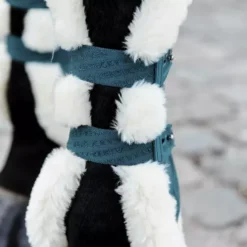 Kentucky Horsewear Kentucky Vegan Sheepskin Tendon Boots Bamboo Shield Elastic -Finest Equestrian Supplies 485a7264 e8502ded370e565d04389cf2c54c4715 article photobook crop 1 png