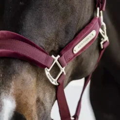 Kentucky Horsewear Kentucky Velvet Head Collar -Finest Equestrian Supplies 485a7774 a929523bbdd099ba1a676b6771a9e673 article photobook m 2 png