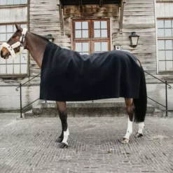 Kentucky Horsewear Kentucky Heavy Fleece Rug Square -Finest Equestrian Supplies 485a9410 black a929523bbdd099ba1a676b6771a9e673 article photobook m 1 1 png