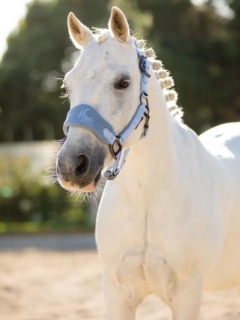 LeMieux Vogue MINI Fleece Headcollar & Leadrope 4 LeMieux Vogue MINI Fleece Headcollar & Leadrope - Image 2