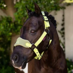 LeMieux Vogue MINI Fleece Headcollar & Leadrope 35 LeMieux Vogue MINI Fleece Headcollar & Leadrope -Finest Equestrian Supplies 4d9a7001 copy 1 jpg