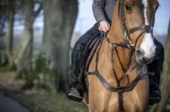 LeMieux DryTex Stormwear Waterproof Chaps -Finest Equestrian Supplies 56d2aa2aae913fc5118cf5587e8980c0.image .750x499 5 jpg