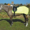 Rhinegold 3/4 Waterproof Ride On 1 Rhinegold 3/4 Waterproof Ride On -Finest Equestrian Supplies 621 yellow website 1 2 jpg