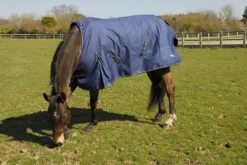 Rhinegold Arizona 100g Lightweight Turnout Rug -Finest Equestrian Supplies 660 arizona 2020 web 10 jpg