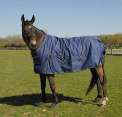 Rhinegold Arizona 100g Lightweight Turnout Rug -Finest Equestrian Supplies 660 arizona 2020 web 2 12 jpg
